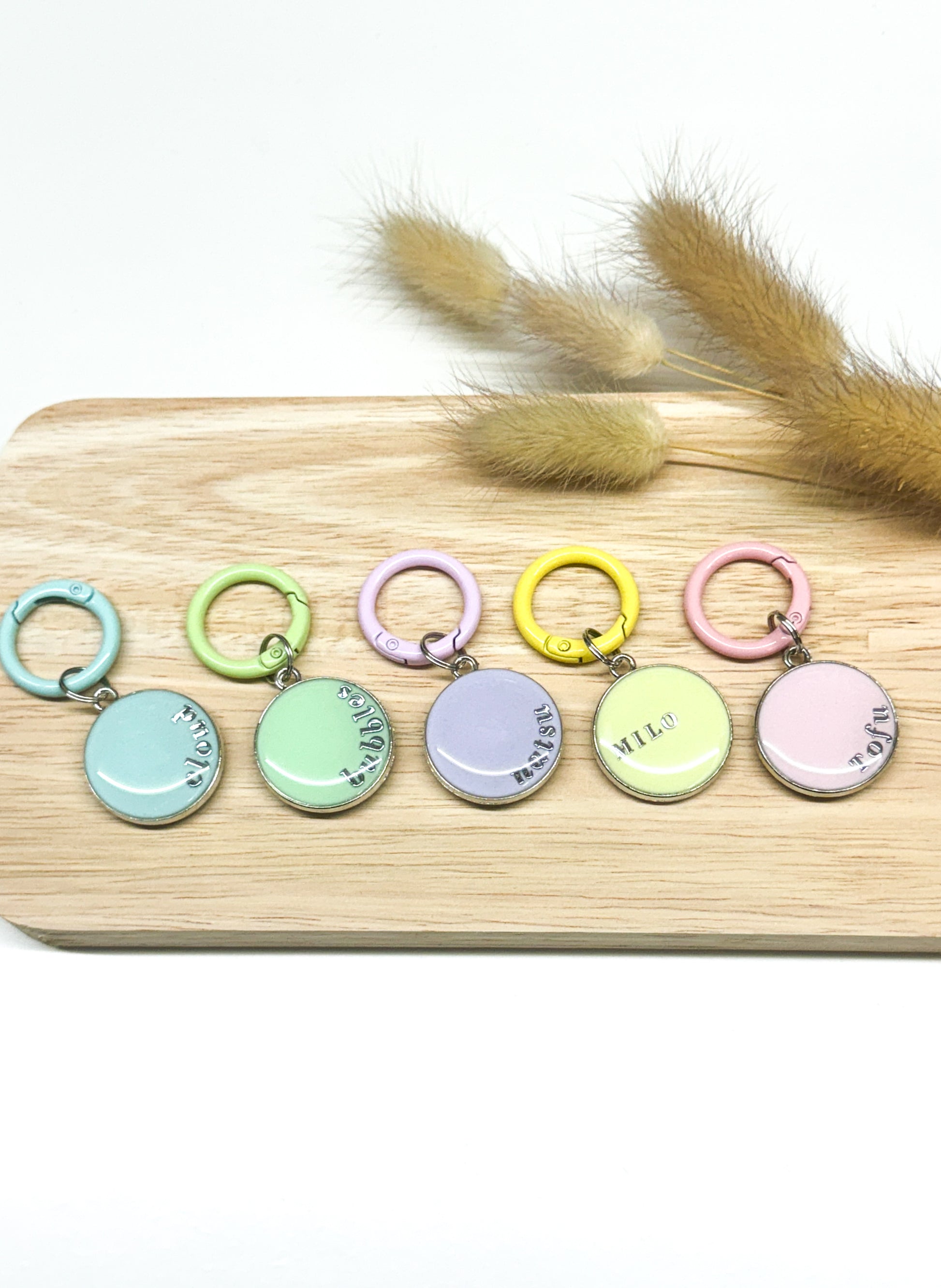 Pastel Pet Tags (Set of 5)