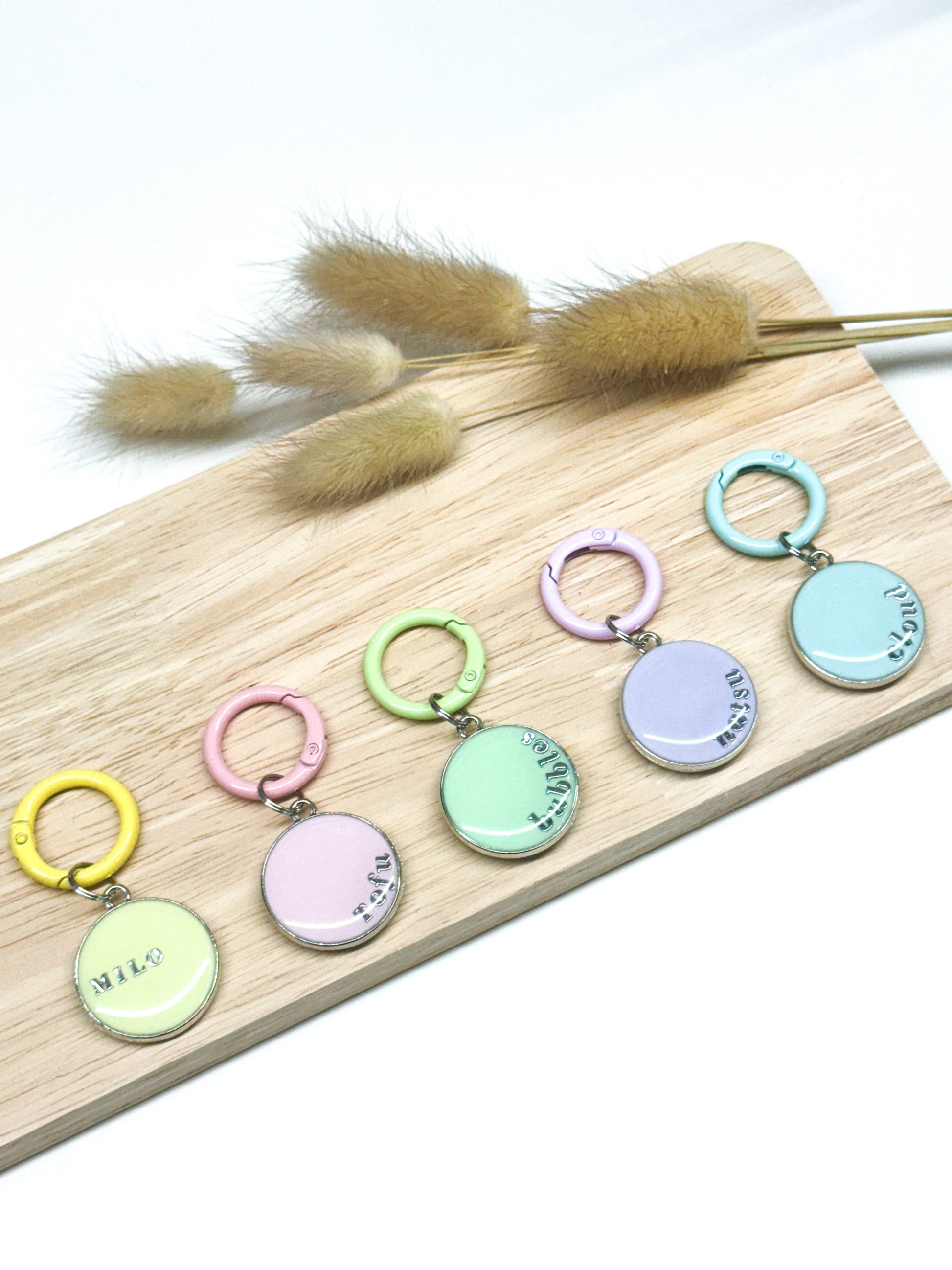 Pastel Pet Tags (Set of 5)