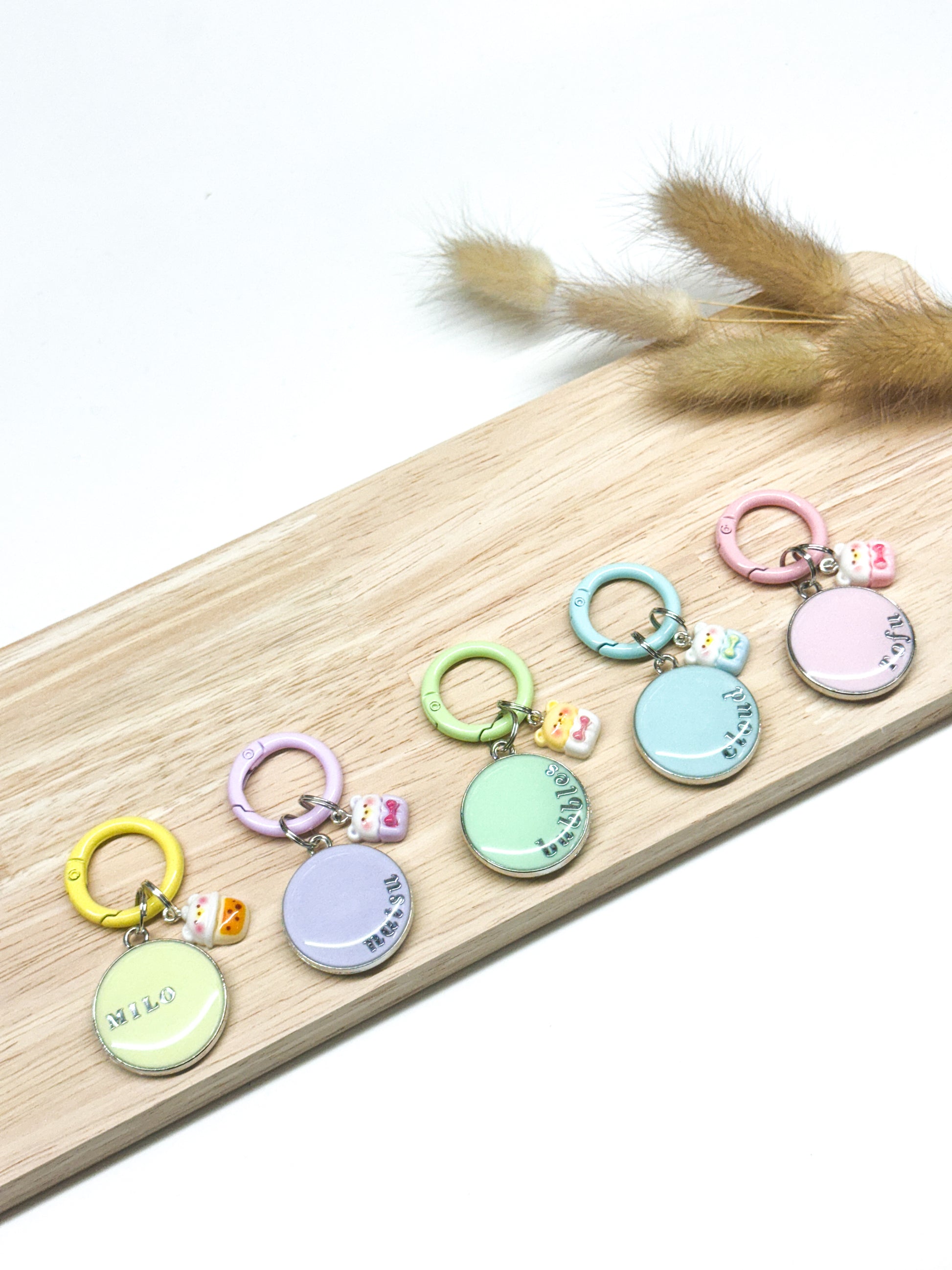 Pastel Pet Tags (Set of 5)