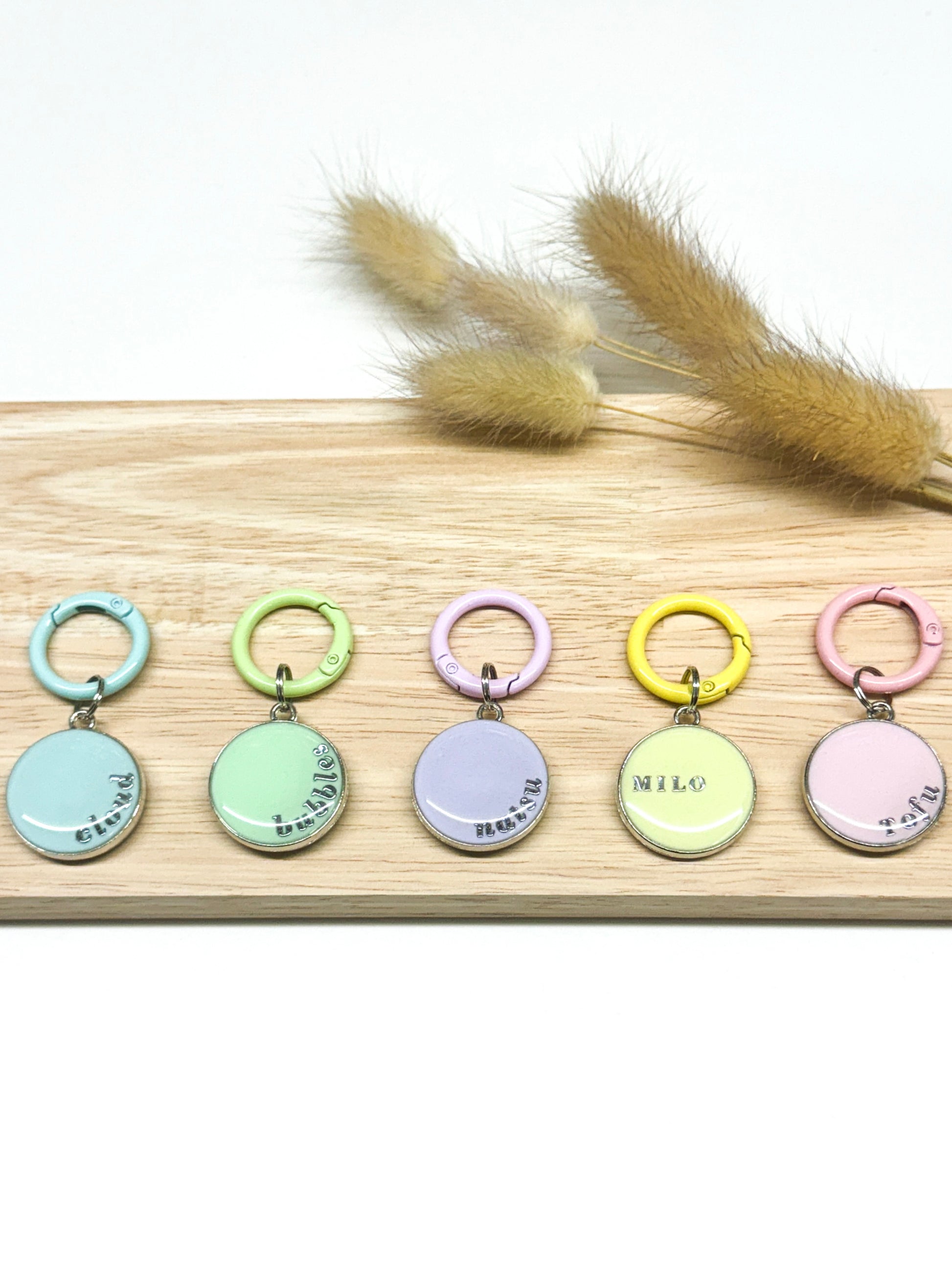 Pastel Pet Tags (Set of 5)