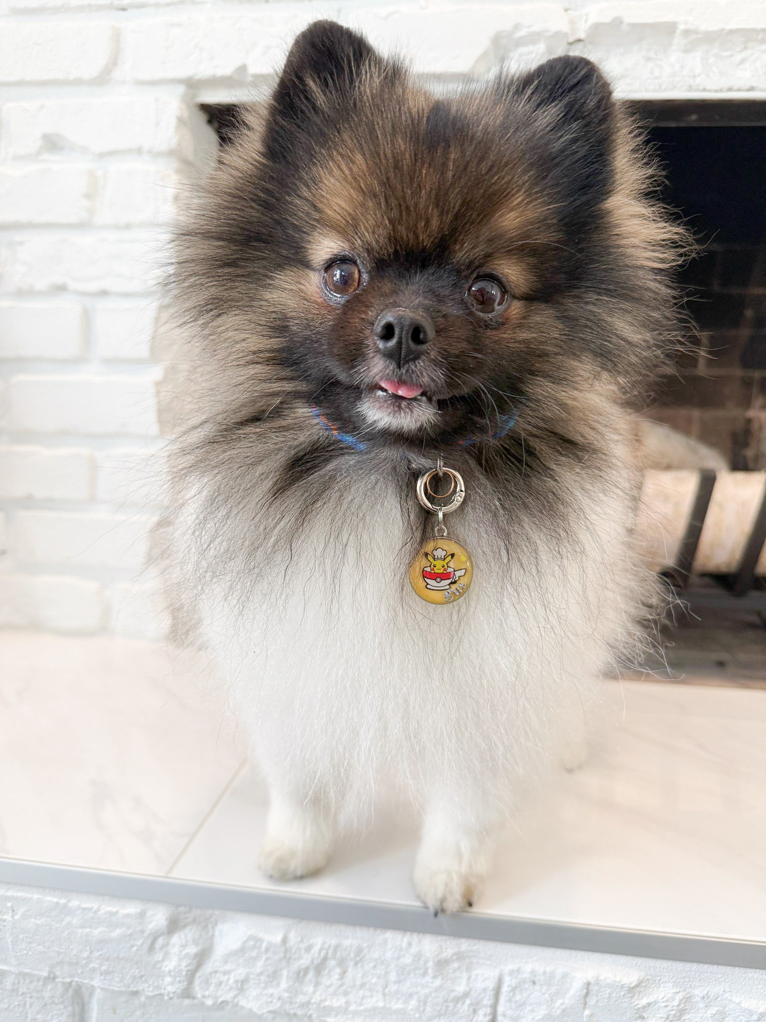 chef pika | i choose you