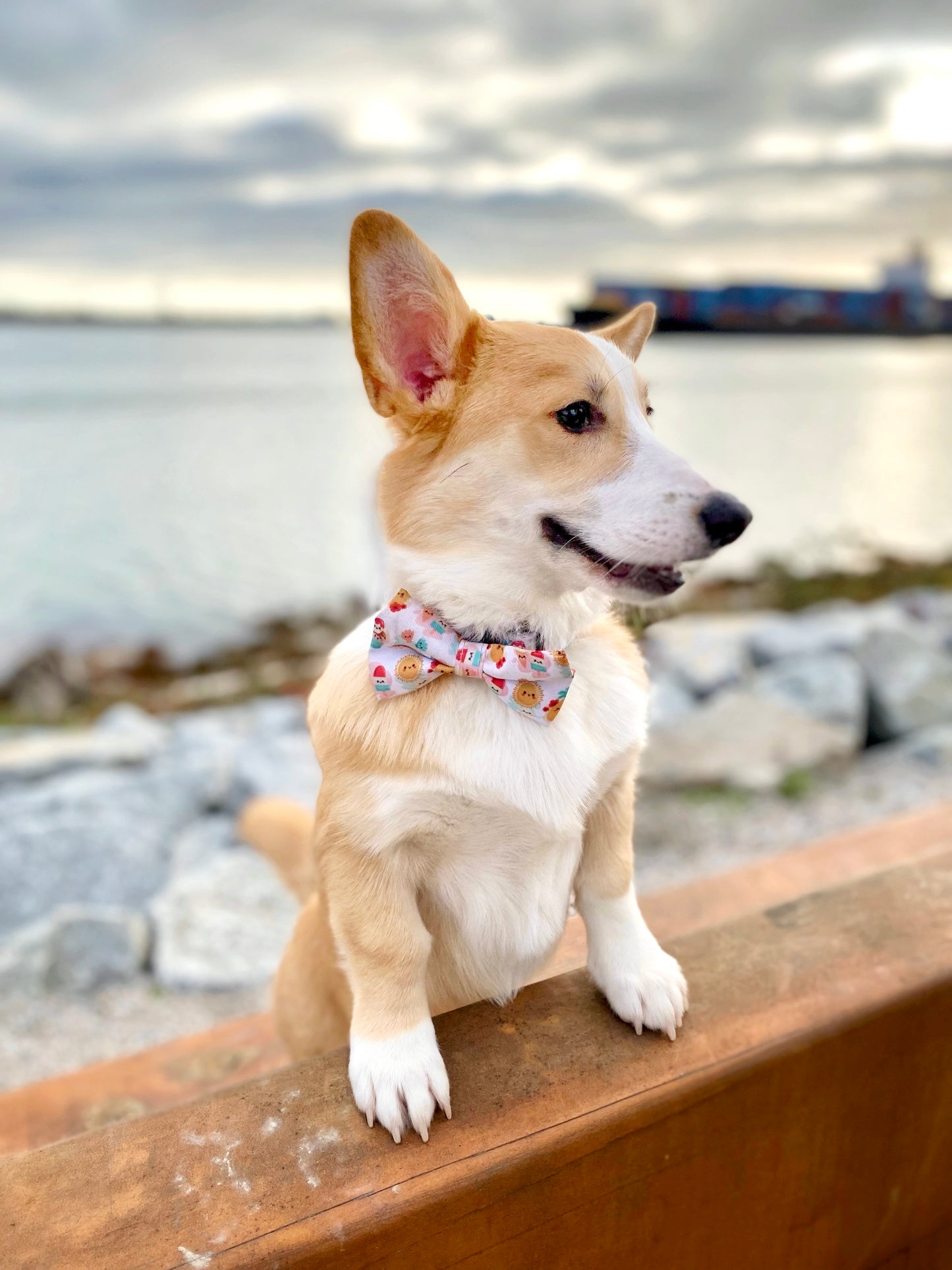 Hawaiian Sunshine - Bow Tie