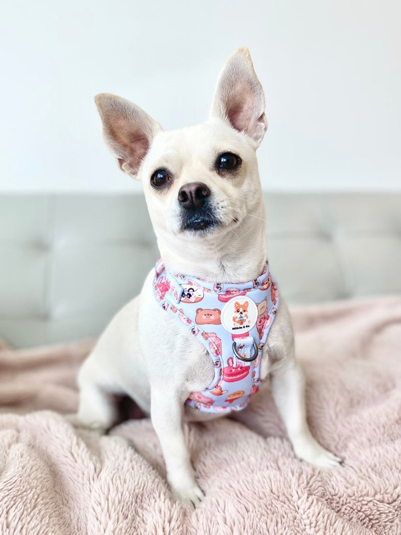 Something Sweet - Adjustable Harness