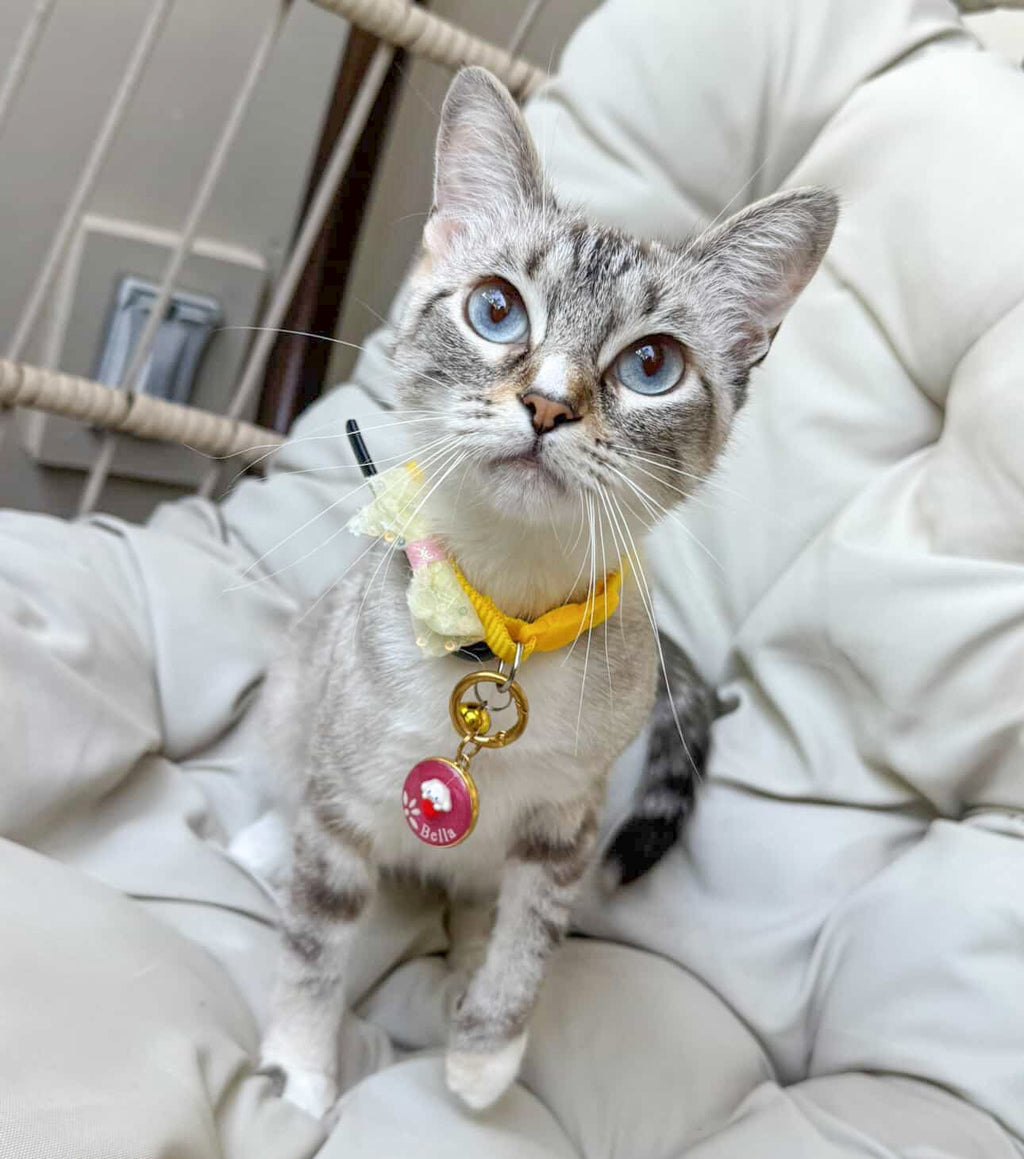 Sanri-Paw