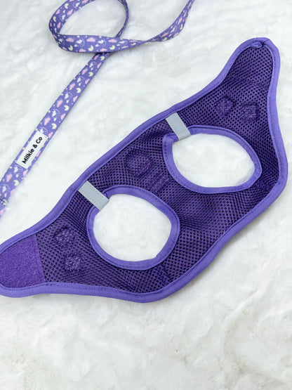 Starry night - Step-In Harness